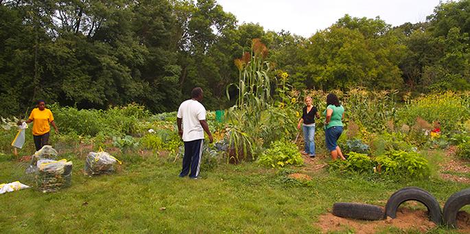 Community Garden