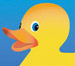 Remarkable Rubber Ducky River Race