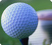 Golf Madison Parks