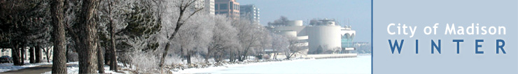Image: Winter