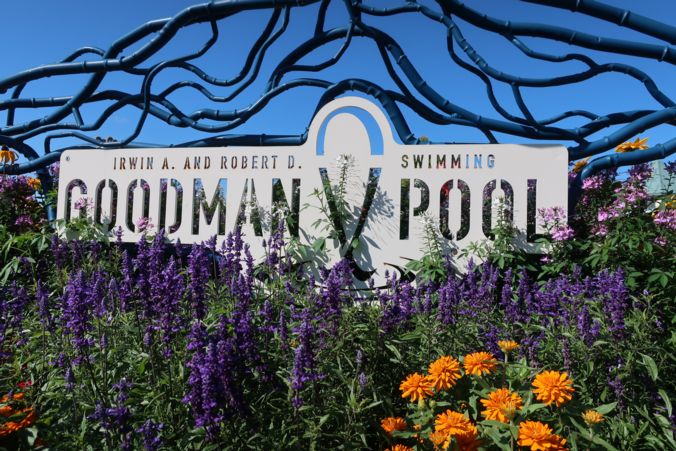 goodman pool