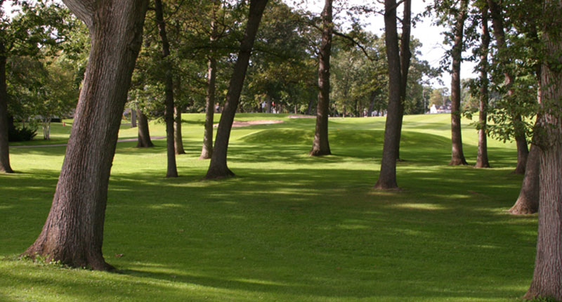 Madison Golf - The Glen Golf Park