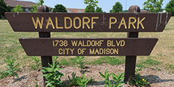 Waldorf Park