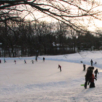 Westmorland Park - Ice Skating
