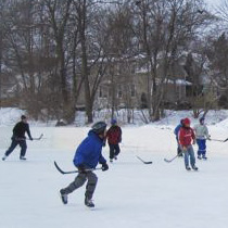 Olbrich Park - Ice Skating