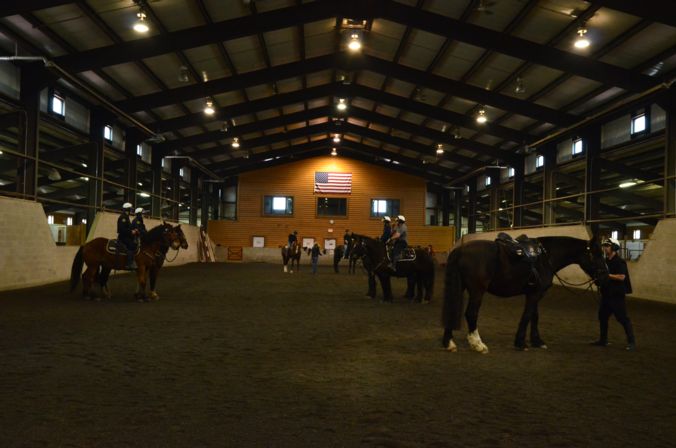 Madison's Mounted Patrol training with Green Bay and Milwaukee