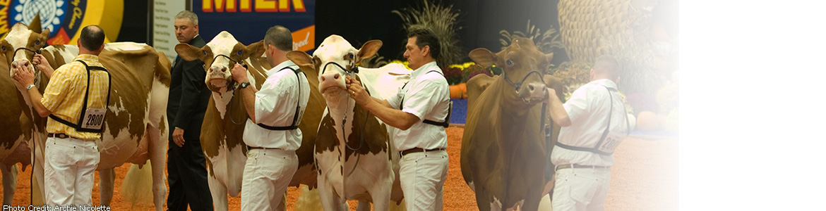 World Dairy Expo | Photo Credit: Archie Nicolette