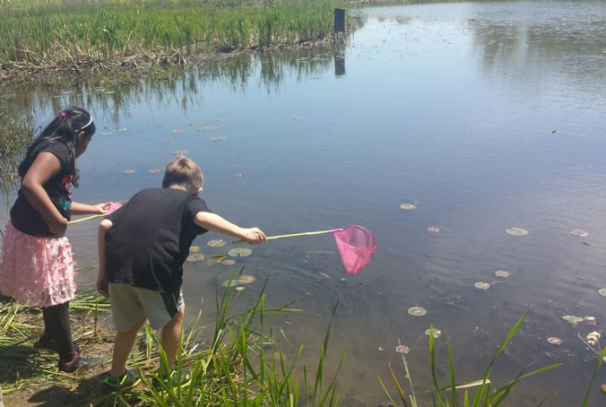 owen pond