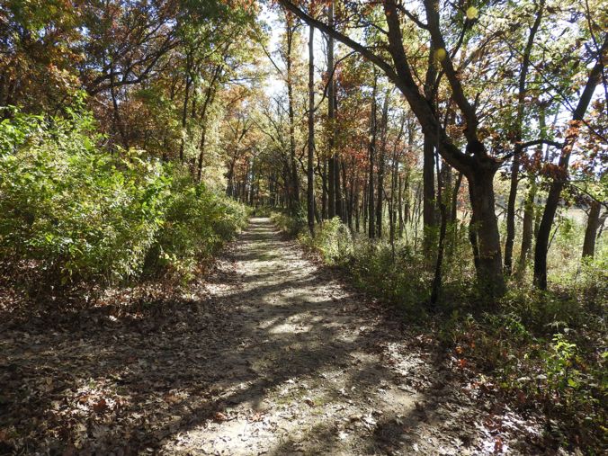 cherokee marsh fall