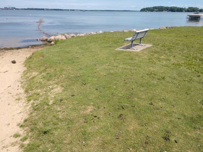 goose poop at ester beach