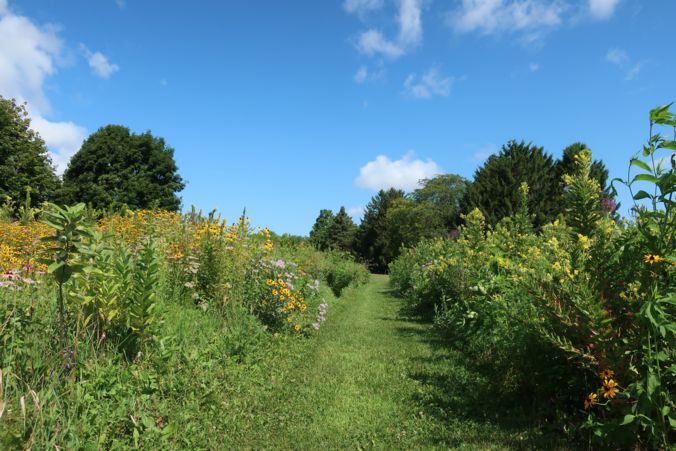 odana hills golf course