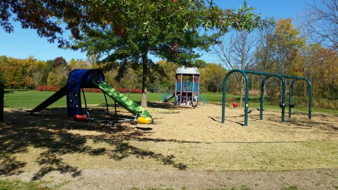 Carpenter Ridgeway playground 2015