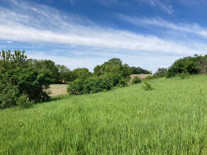 grassy hill, blue sky; midtown commons park expansion 