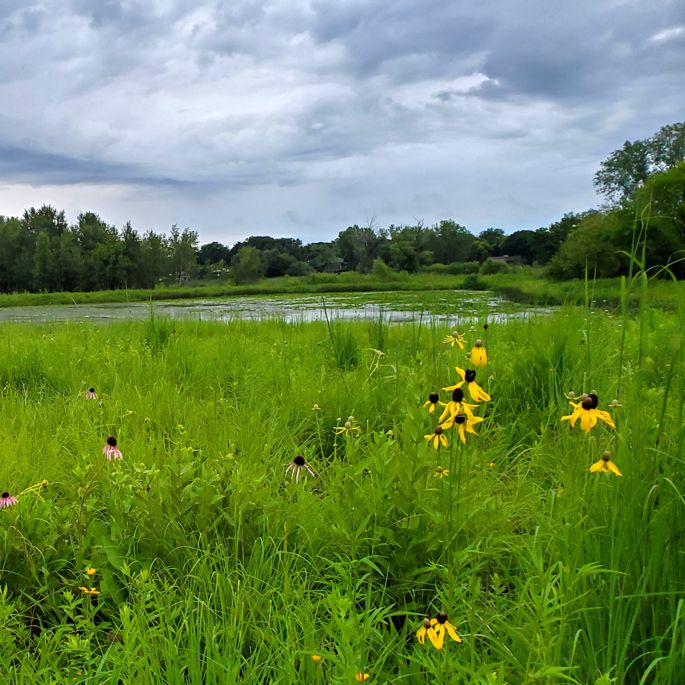 cherokee marsh south pond