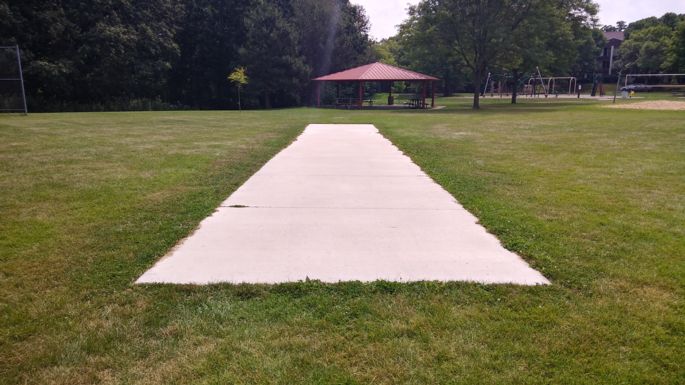 haen family cricket pitch