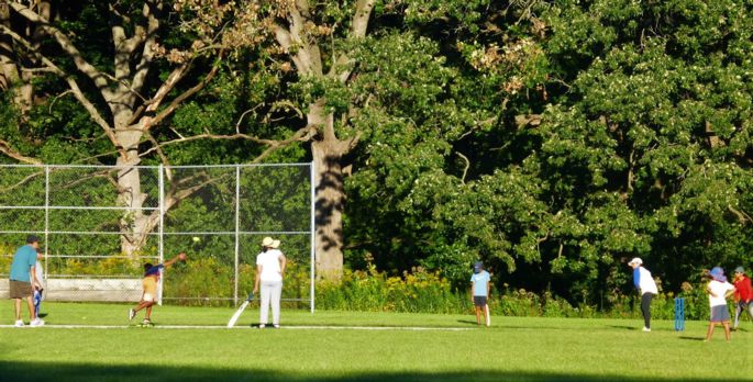 haen family cricket pitch