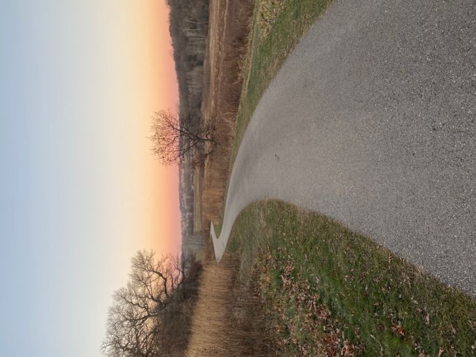 paved path down hill through park