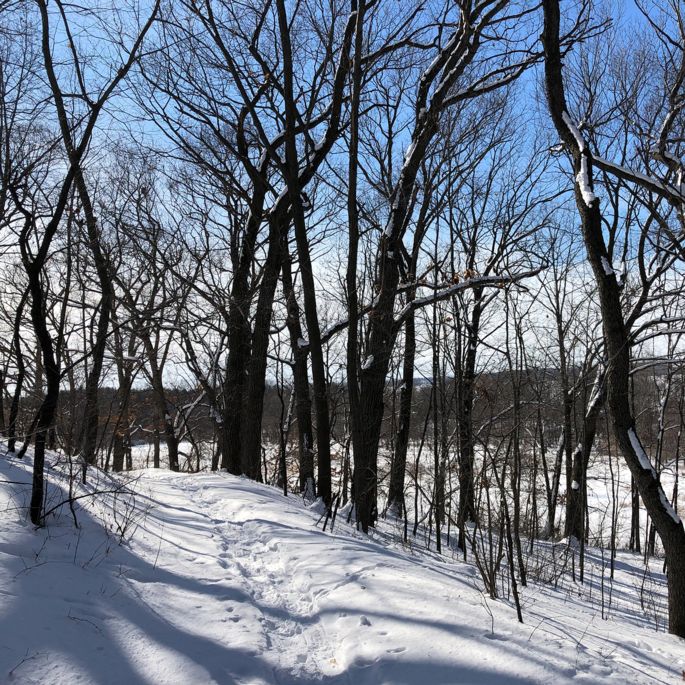 snowy overlook at park