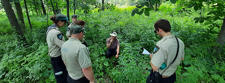 Rangers in forest