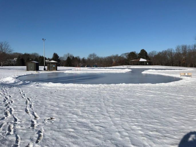 wexford rink