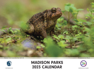 Front cover of Madison Parks 2023 Calendar