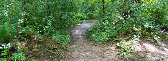 Mountain Biking