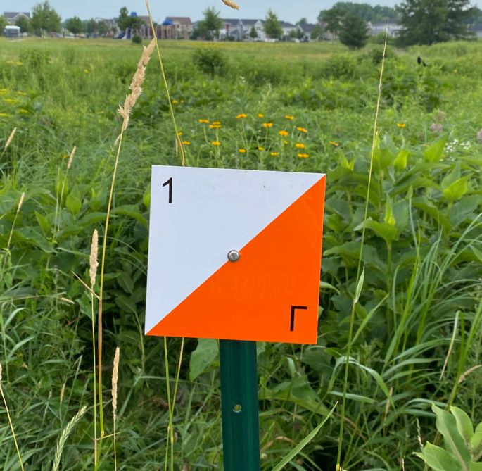 orienteering sign