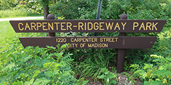 Carpenter - Ridgeway Park