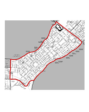Pruning - District 01