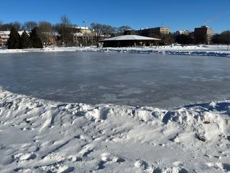ice rink at ennebohm park