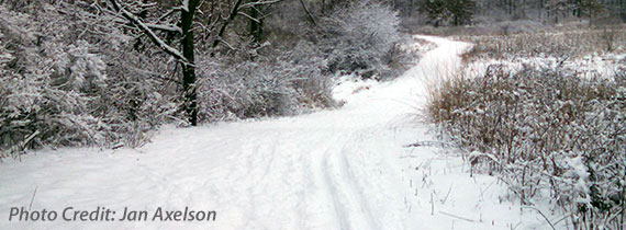 Cross-Country Skiing