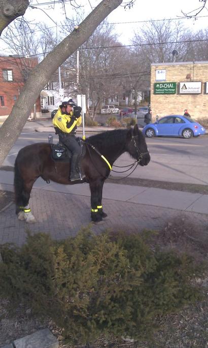 Officer Mulry and Bubba monitor Monroe Street