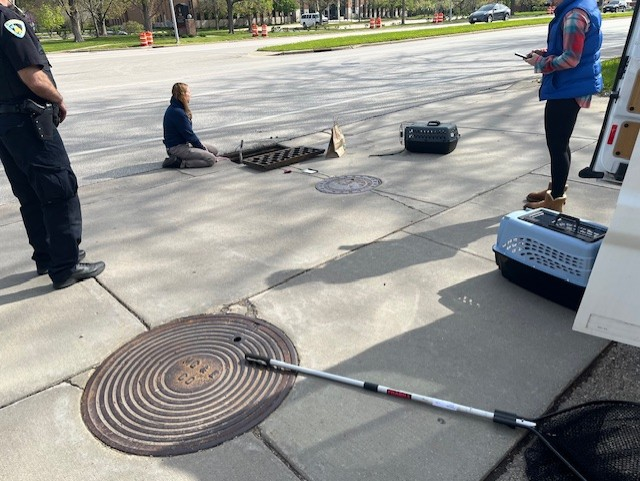 MPD Duck Rescue