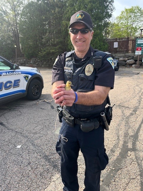 MPD And Ducks