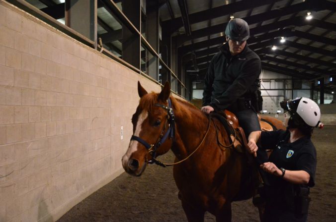 Madison Mounted Unit training with Green Bay and Milwaukee