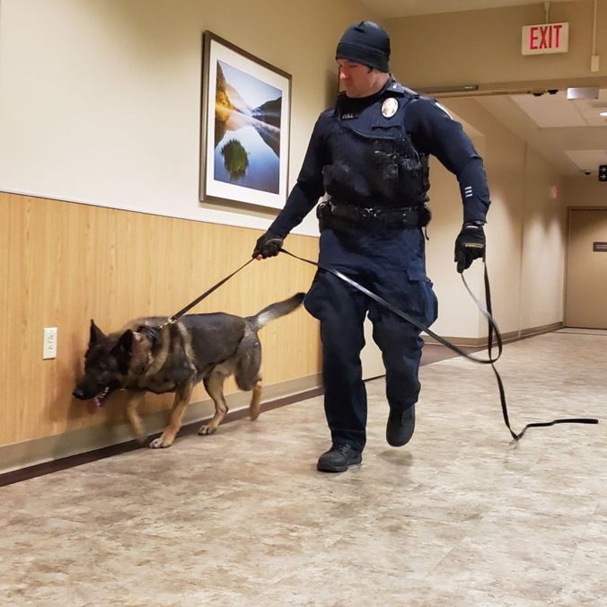 K9 at work