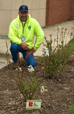 Master Gardener Brian Hake