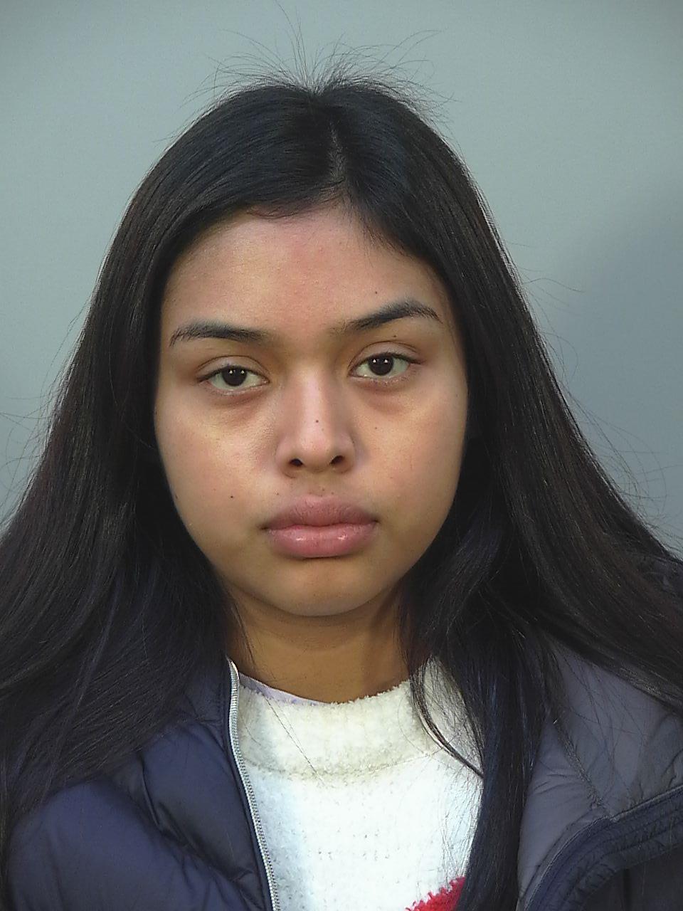 Incident - Incident Reports - News & Data - Madison Police Department -  City of Madison, Wisconsin