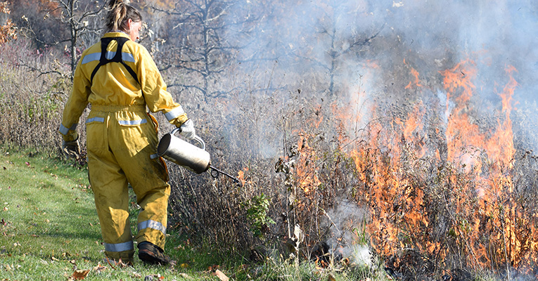 parks staff conduct a prescribed fire