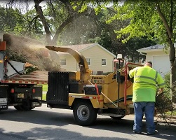 An operator feeds brush into a wood chipper.  Wood chips are flying from a chute in the top of the chipper into the back of an open pickup truck.