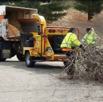Workers dragging brush into a tow behind wood chipper