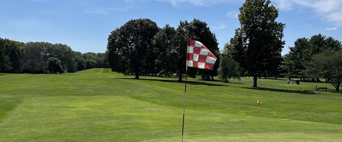 Green at a golf course with a red flag at the hole.