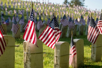 Memorial day flags