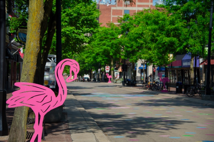 Pink flamingo sculptures on State Street