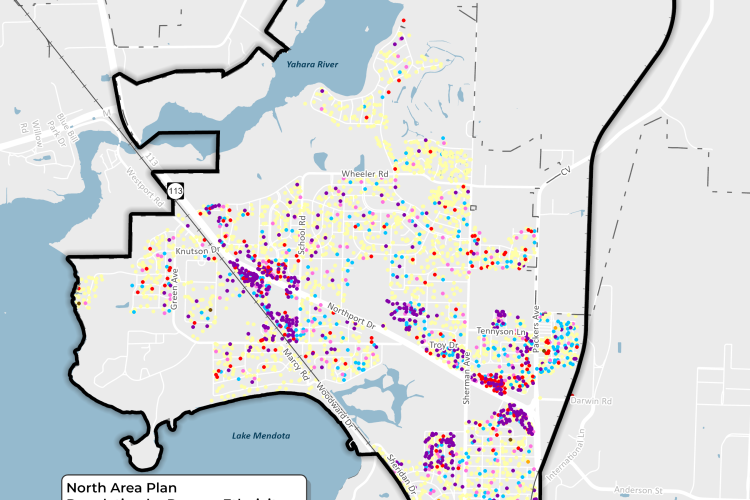 North Area planning area population by race. 