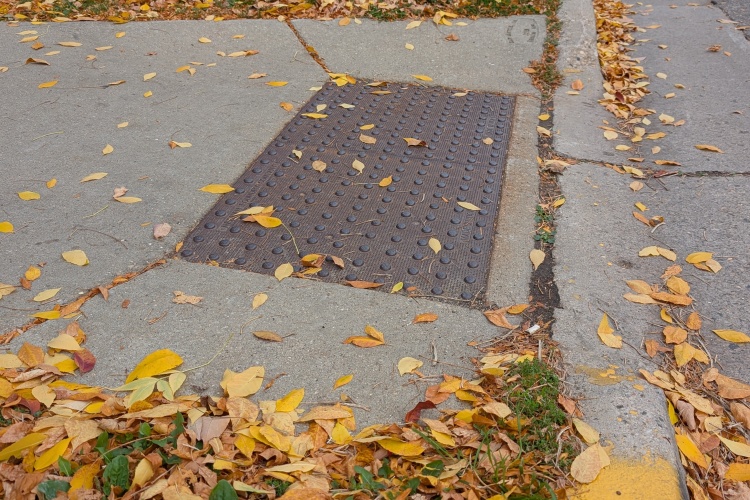 Detectable Warning Field: flat textured plate at curb ramp to allow for physical awareness of change in incline.