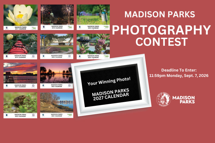 Madison Parks Photography Contest