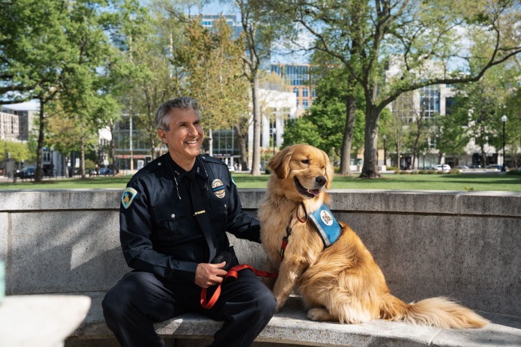 Golden Retriever named Frost sits next to his police handler on a bench.