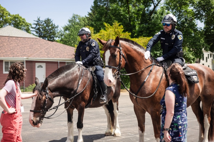 Staff greet Buckets the police horse after he earns his badge.
