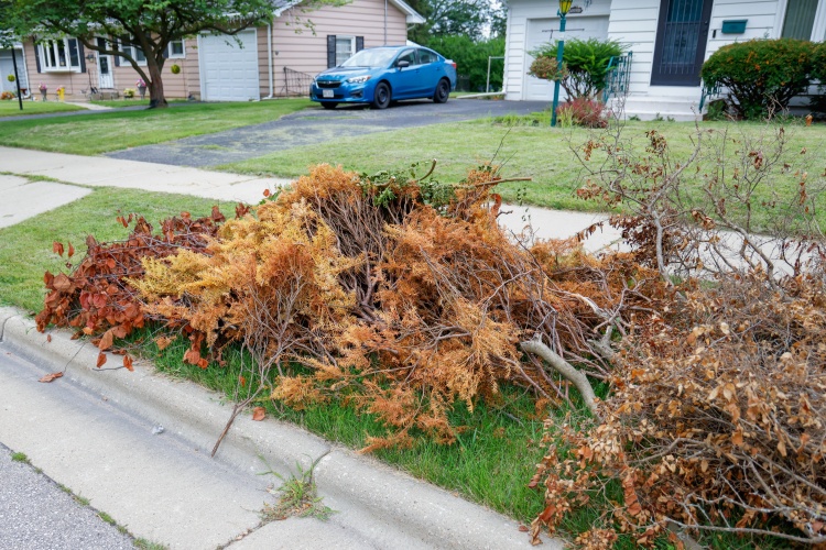 Brush pile set out in front of a home.